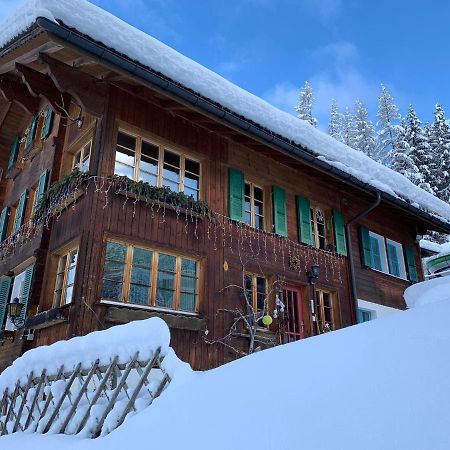 Chalet Schiltwald InnerВенген Екстериор снимка