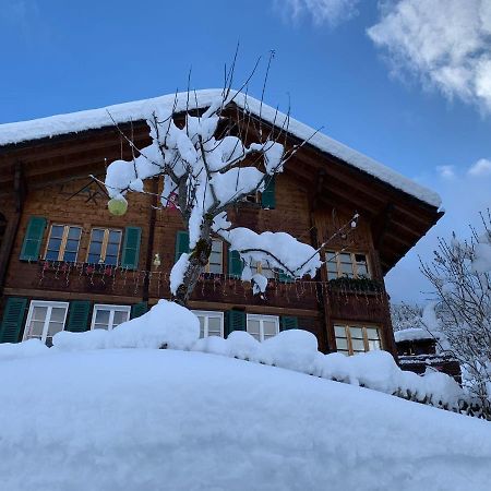 Chalet Schiltwald InnerВенген Екстериор снимка
