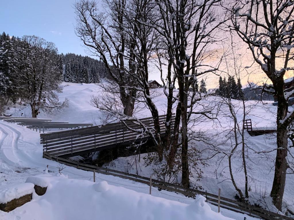 Chalet Schiltwald InnerВенген Екстериор снимка