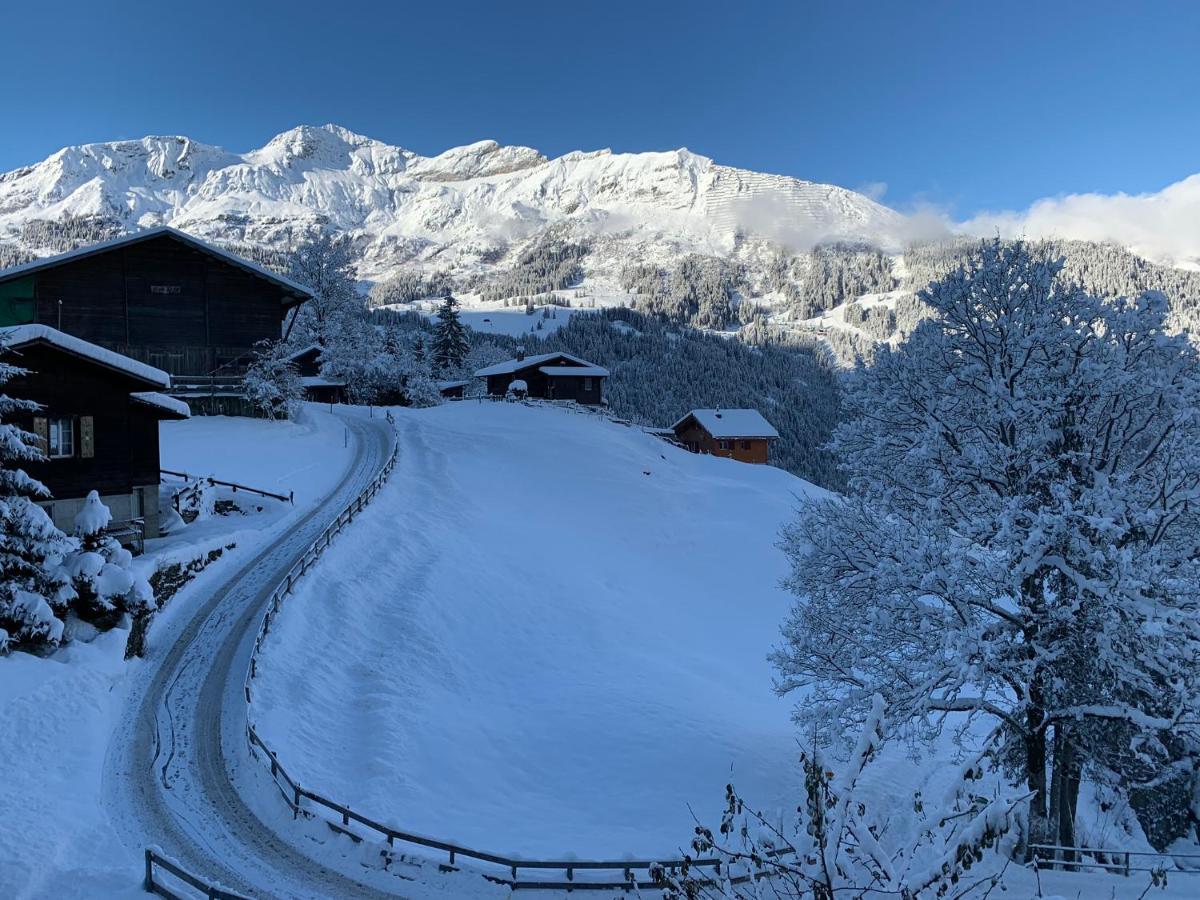 Chalet Schiltwald InnerВенген Екстериор снимка