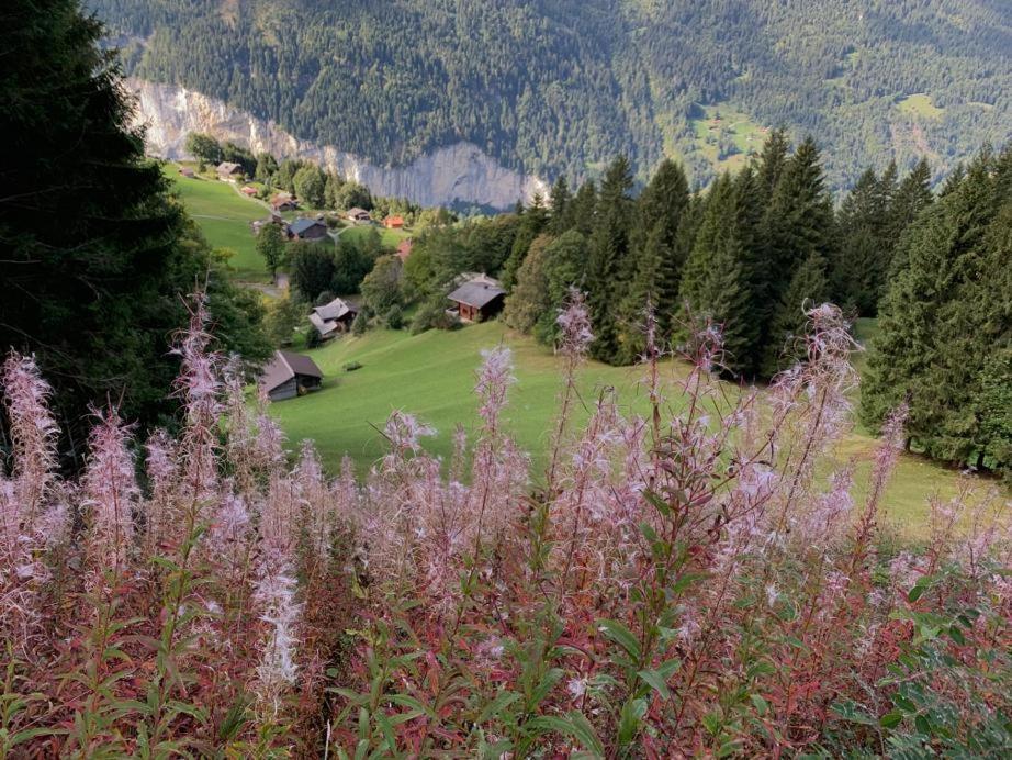 Chalet Schiltwald InnerВенген Екстериор снимка