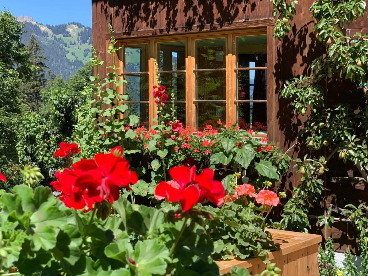 Chalet Schiltwald InnerВенген Екстериор снимка
