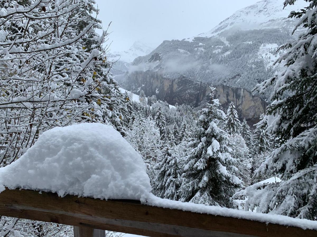 Chalet Schiltwald InnerВенген Екстериор снимка