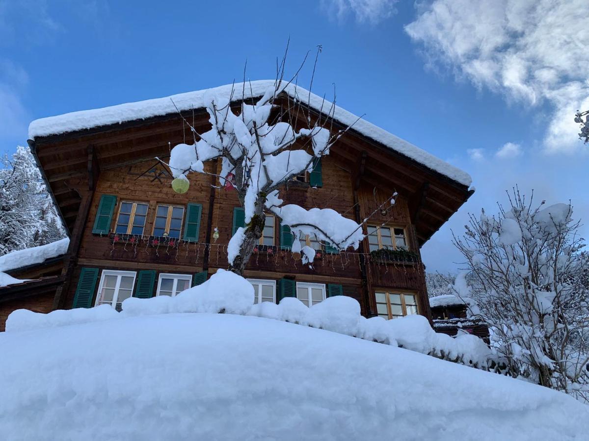 Chalet Schiltwald InnerВенген Екстериор снимка