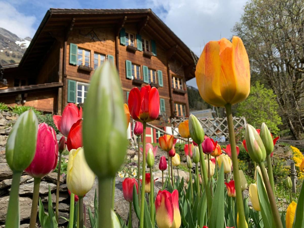 Chalet Schiltwald InnerВенген Екстериор снимка