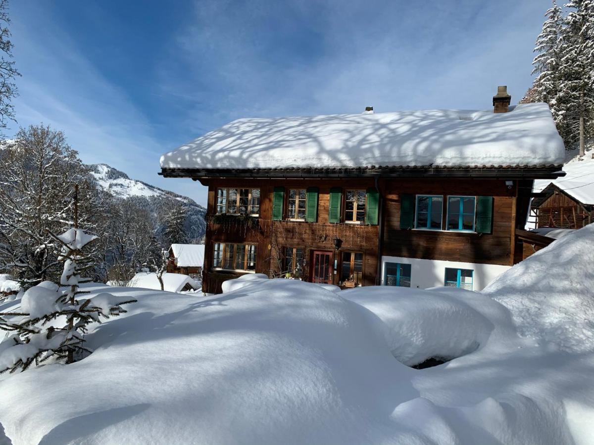 Chalet Schiltwald InnerВенген Екстериор снимка